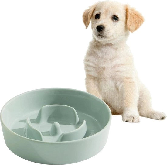 Anti-schrokbak per cani in ceramica - lento rilascio cibo per piccoli cani - lento rilascio acqua per cani - prevenzione gonfiore - prevenzione soffocamento - 1 x verde chiaro 155 cm
