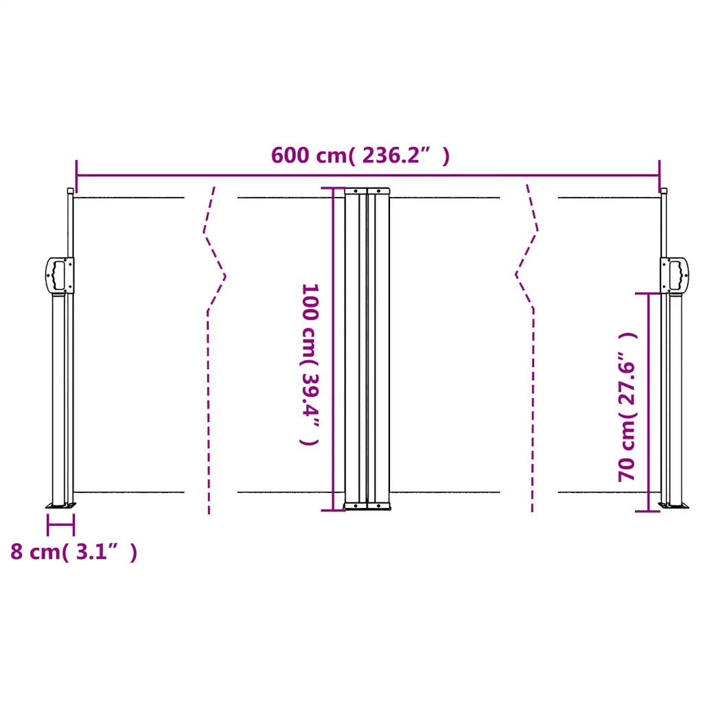 Tenda da Sole Laterale Retrattile Antracite 100x600 cm 4004583