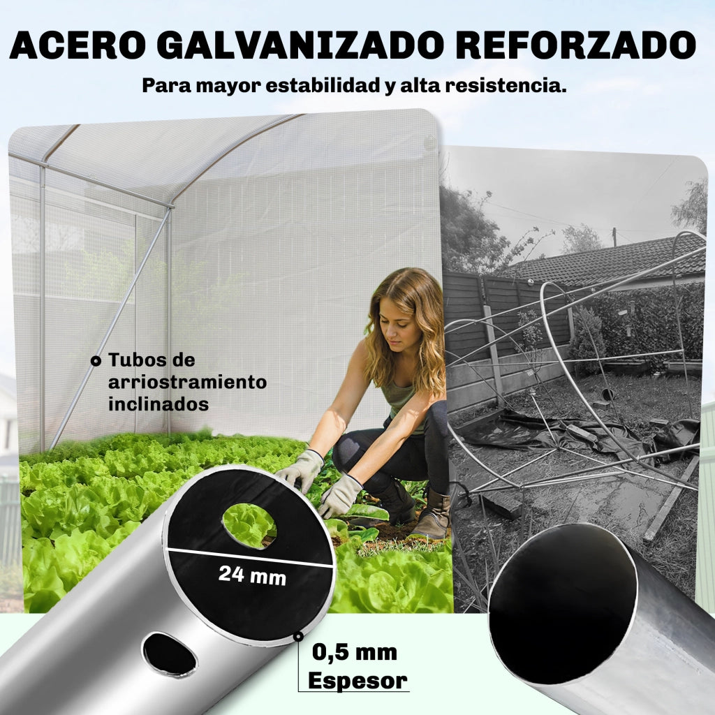 Serra a Tunnel 6x3x2 m ¨C zephmum ¨C Con 3 Porte a Rulli, 6 Finestre a Rete, Struttura in Acciaio Galvanizzato Bianco