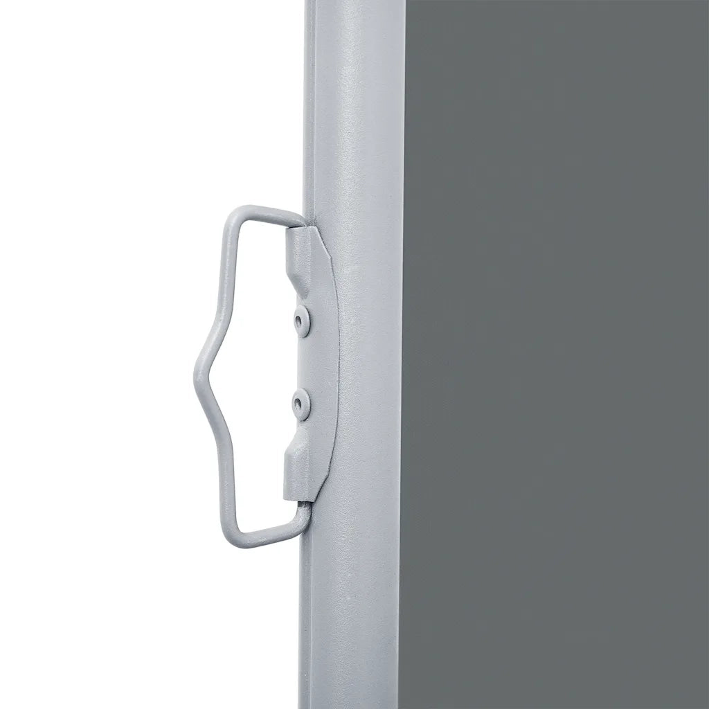 Tenda Laterale Retrattile Antracite 140x1000 cm 48486