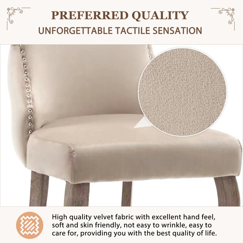 Chaise da pranzo in velluto con schienale capitonné e borchie decorative, gambe in legno massiccio beige