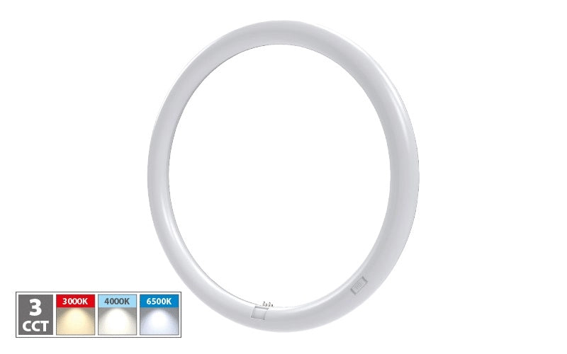 Neon Circolare Trifosforo 24 Watt 373mm 2400 Lumen