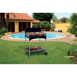 Barbecue a Legna con Griglia in Ferro Cromato Famur BK 8 Eco