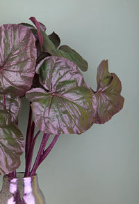 Set 3 Foglia di Ligularia Artificiale Altezza73 cm Verde