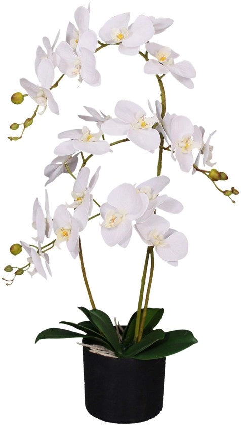 Orchidea da giardino, foglie, 60 cm, grande, bianco, 60 cm Grande Bianco, LEAF-7040