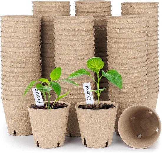 100 pezzi di contenitori in legno di cedro da 7,9 cm (3,1 pollici) inclusi 50 pezzi di etichette per piante, contenitori per il giardinaggio biodegradabili con fori di drenaggio, contenitori per la semina per il giardinaggio per l'avvio di semi