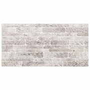 Pannelli da parete 10 pz Grigio chiaro e bianco 100 x 50 cm CFW5718405