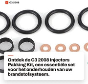 Kit di immissione Solidchoice - compatibile con C3 2008 - O-Ring - Set - 1204698 - 2S6Q-9F593-AC - 198196