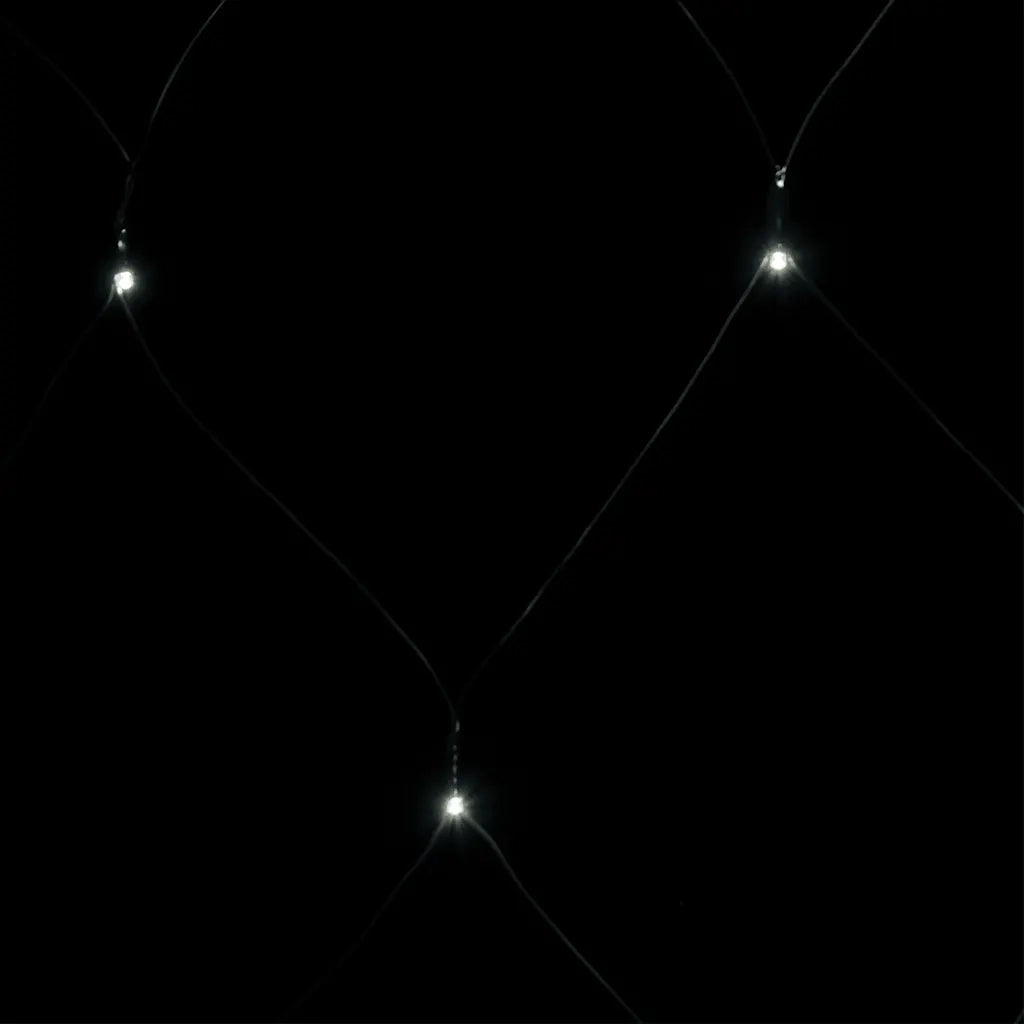 Luci di Natale Rete Bianco Freddo 3x2m 204 LED Interni Esterni CFW4852182