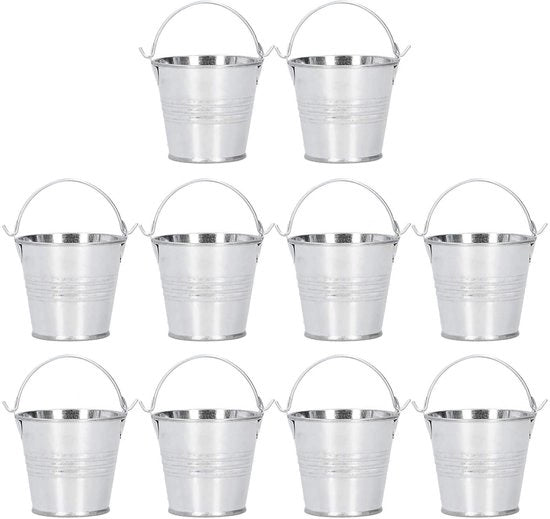 Pianta Succulenta Miniatura - Piccola Vaso di Fiori - Argento - Decorazione - Ideale per Interno ed Esterno - Formato Compatto