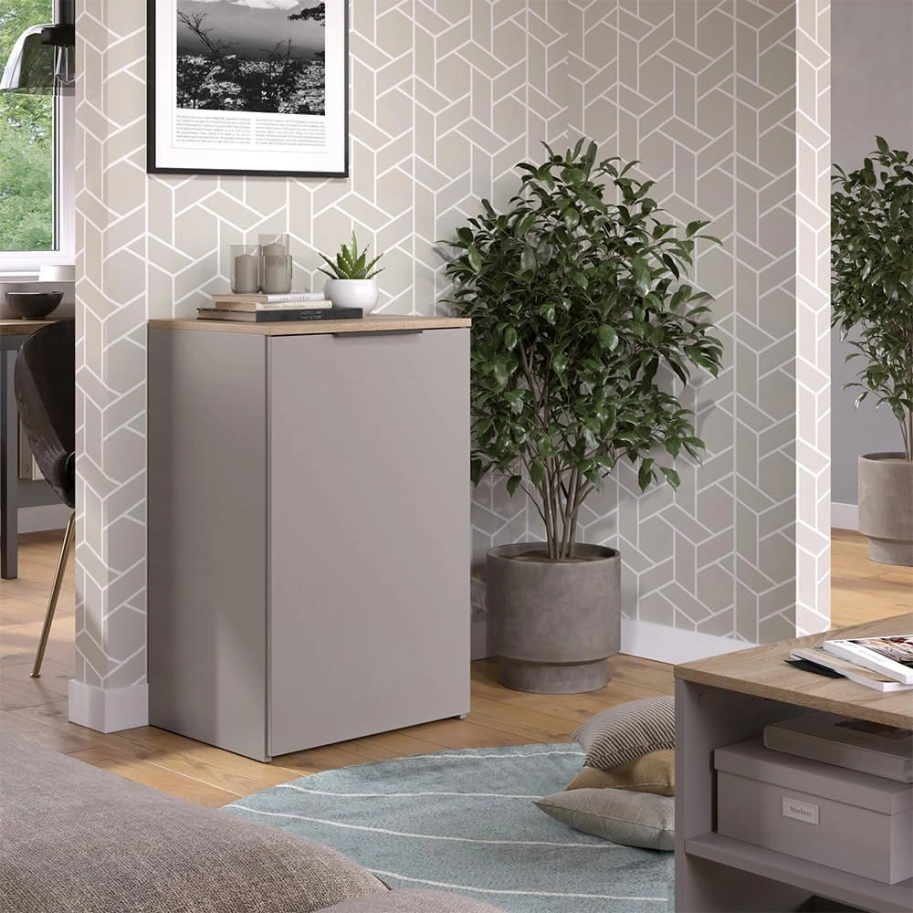 Credenza Wido, Grigio, 50 x 80 cm con ripiano, per la conservazione e l'organizzazione salvaspazio
