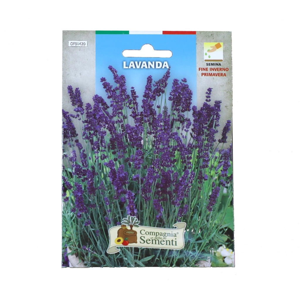 BUSTA DI SEMENTI DI LAVANDA