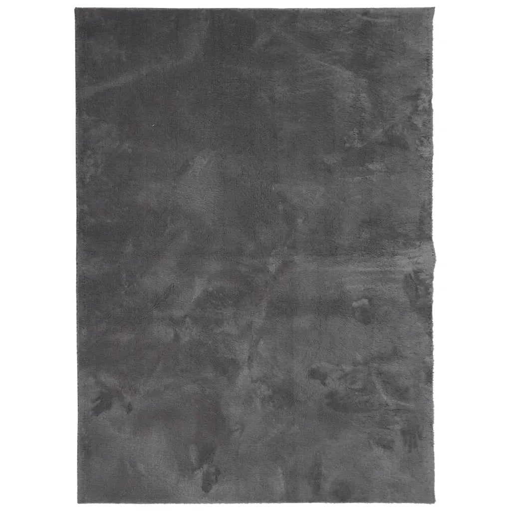 Tappeto Pelo Corto HUARTE Morbido Lavabile Antracite 140x200 cm 375001