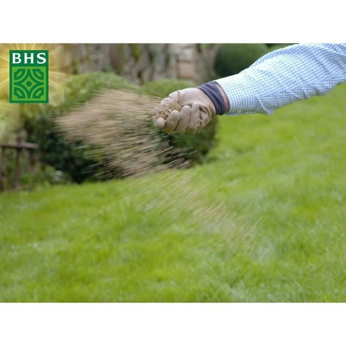 Rigenerante per terreni asciutti - BHS - 1 kg  40 mq  Robusto e durevole, con eccellente resistenza e tolleranza al calpestio.