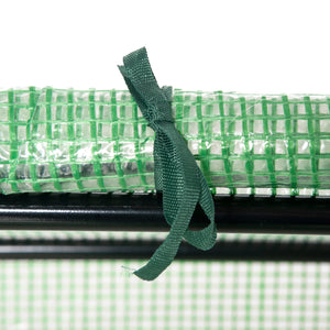 Serra da Giardino 120x60x60 cm con Copertura in PE Verde