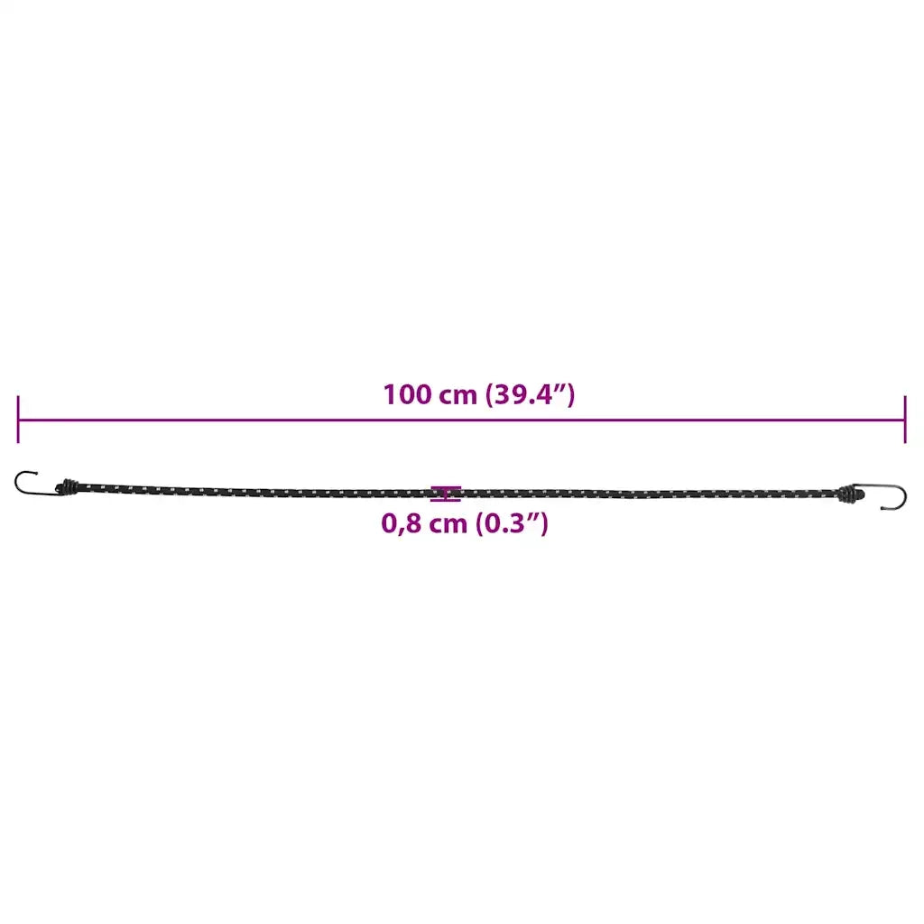 Corde Elastiche con Strisce Riflettenti e Ganci 25 pz 100 cm CFW5216743