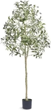 Pianta Artificiale per Interni - Pianta Artificiale di Olivo - Altezza 155 CM