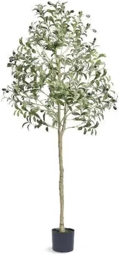 Pianta Artificiale per Interni - Pianta Artificiale di Olivo - Altezza 155 CM