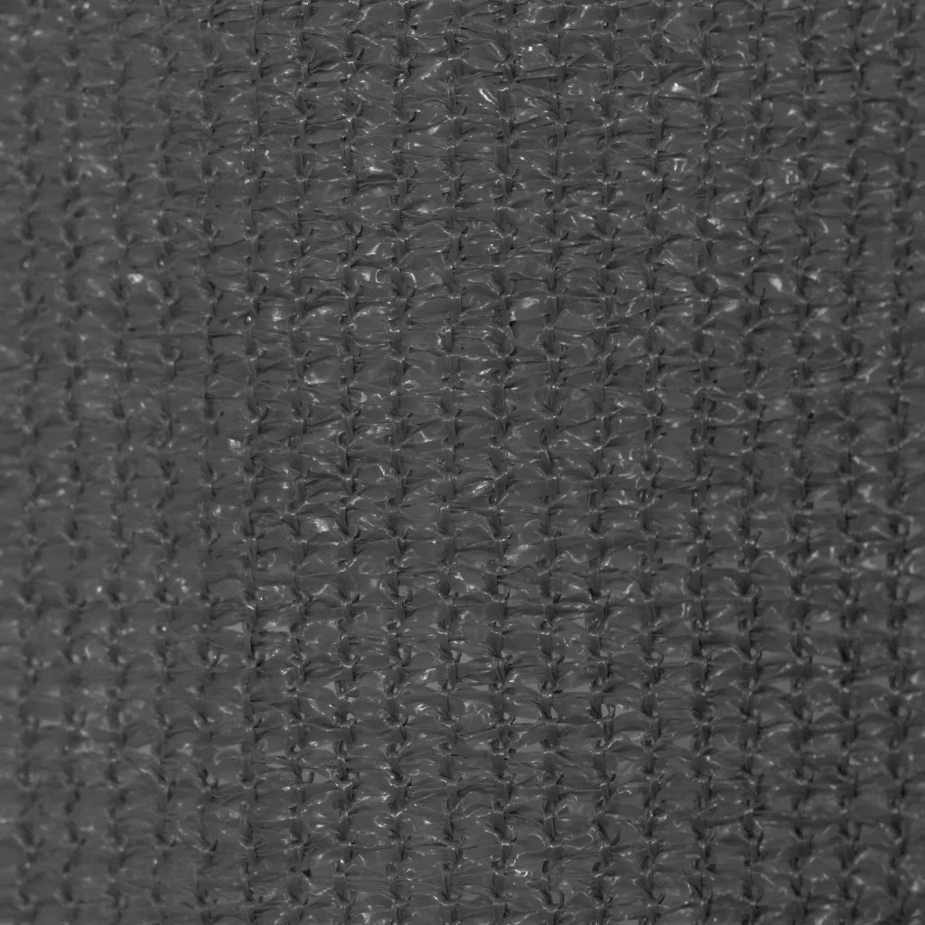Tenda a Rullo per Esterni 225(L)x230(A) cm Antracite 43499