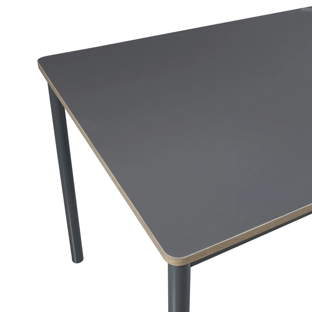 Tavolo da Sala Pranzo Lindesberg 140 x 80 cm Grigio [en.casa]