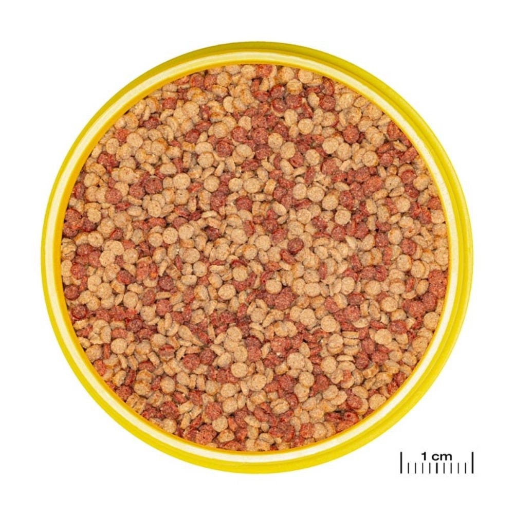 JBL ProNovo Color Grano M 250ml - granulato per colori brillanti per tutti i pesci tropicali da 8 a 20cm