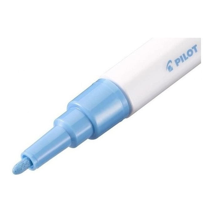 Pilot Pintor