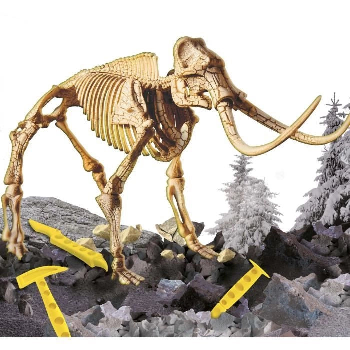 I'M GENIUS Super Kit Mammoth Novità per bambini