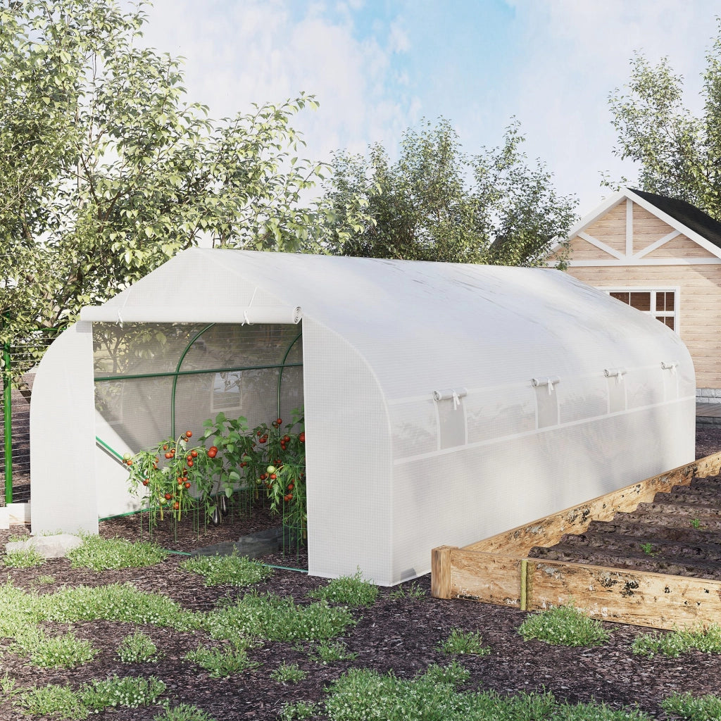 Serra Tunnel da Giardino 18 m2 ¨C zephmum ¨C 5.95x3x2 m Acero Bianco