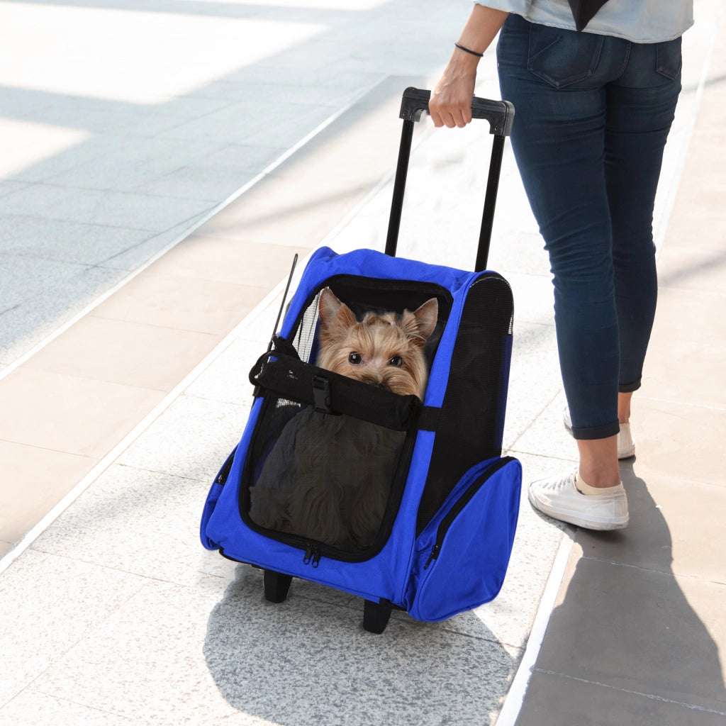 Trasportino Zaino per Cani e Gatti ¨C Zephmum ¨C Azzurro 42x25x55cm