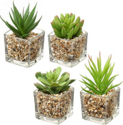 Pianta Artificiale Succulenta, Set di 4, Altezza 10,5 cm, in Vaso di Vetro