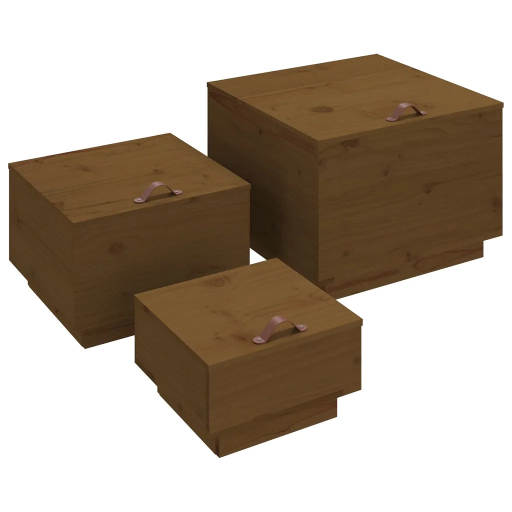 Contenitori Portaoggetti Coperchi 3pz ambra Legno Massello Pino 818248