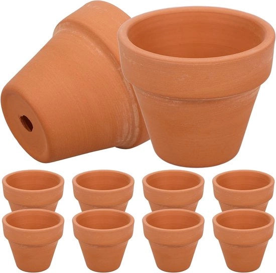 Pianterini di Terracotta per Cactus e Fiori (10 pezzi) 1,8x1,6