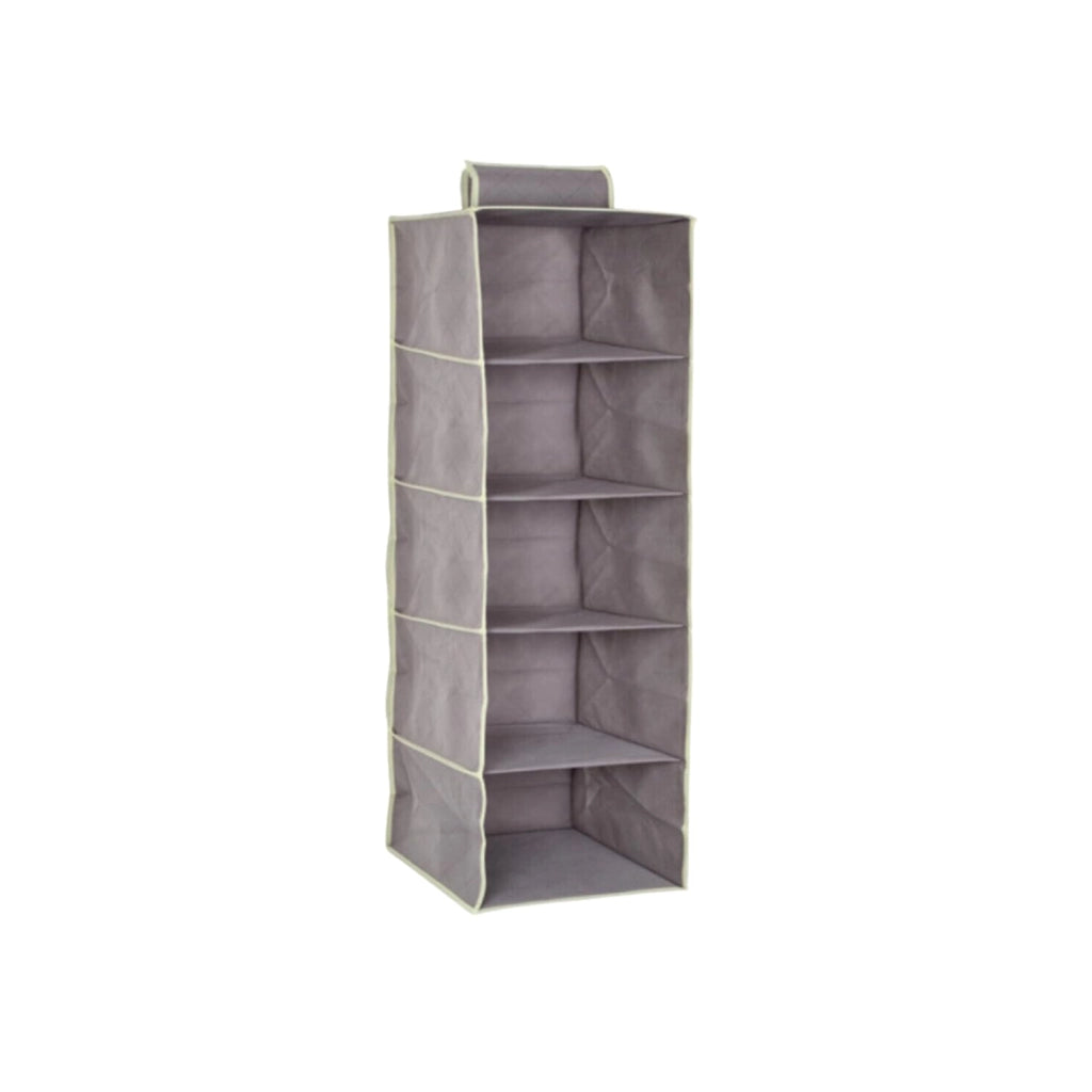 OWIJI Organizer Portaoggetti Appendere Armadio 5 Ripiani 100 x 30 x 30 cm Salvaspazio Divisori Interno Pieghevole Contenitore Vestiti Scarpe