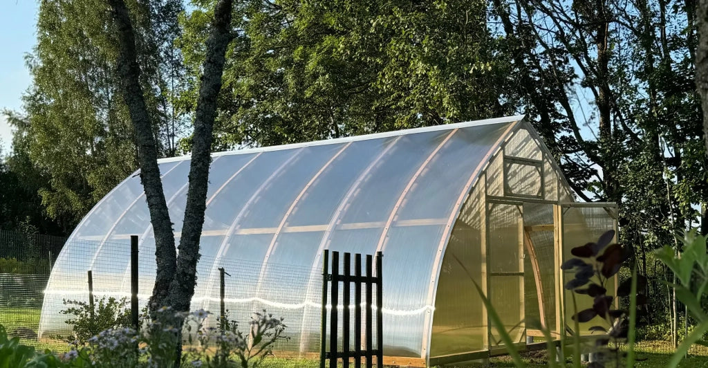 Serra da giardino Arched Wood con doppie porte 5 x 10 m (50 m²), 10 mm con rivestimento in policarbonato