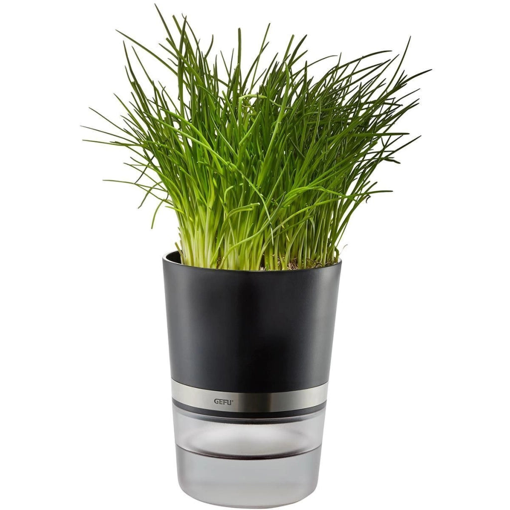 GEFU BOTANICO Vaso per erbe aromatiche Libera installazione Plastica, Acciaio inossidabile Nero