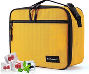 Piccola tasca per picnic per ufficio scuola spiaggia, tasca per congelare piccola tasca isolata per bambini adulti, scatola per la merenda impermeabile scatola per congelare tasche per la merenda, scatola per la merenda con contenitori per ghiaccio.