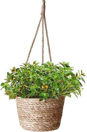 Sostegno per piante - Contenitore per piante appeso - Zebrino - Sostegno per piante a mano a maglia - Con corda appesa - Piante grasse - Cacti - Erbe - Interno ed esterno - Zebrino naturale