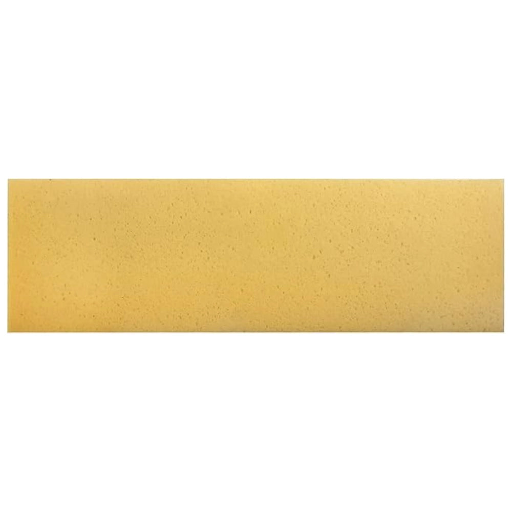 Ricambio spugna sweepex 42x13 cm per vaschette pedalo rambo