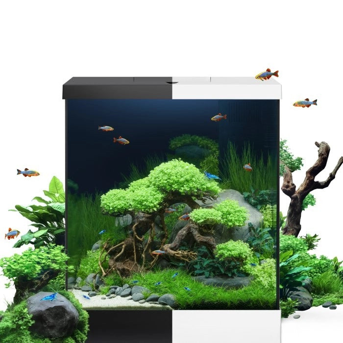 Juwel Vio Cube 54 Bianco cm41x36x47h – Acquario completo 54 L