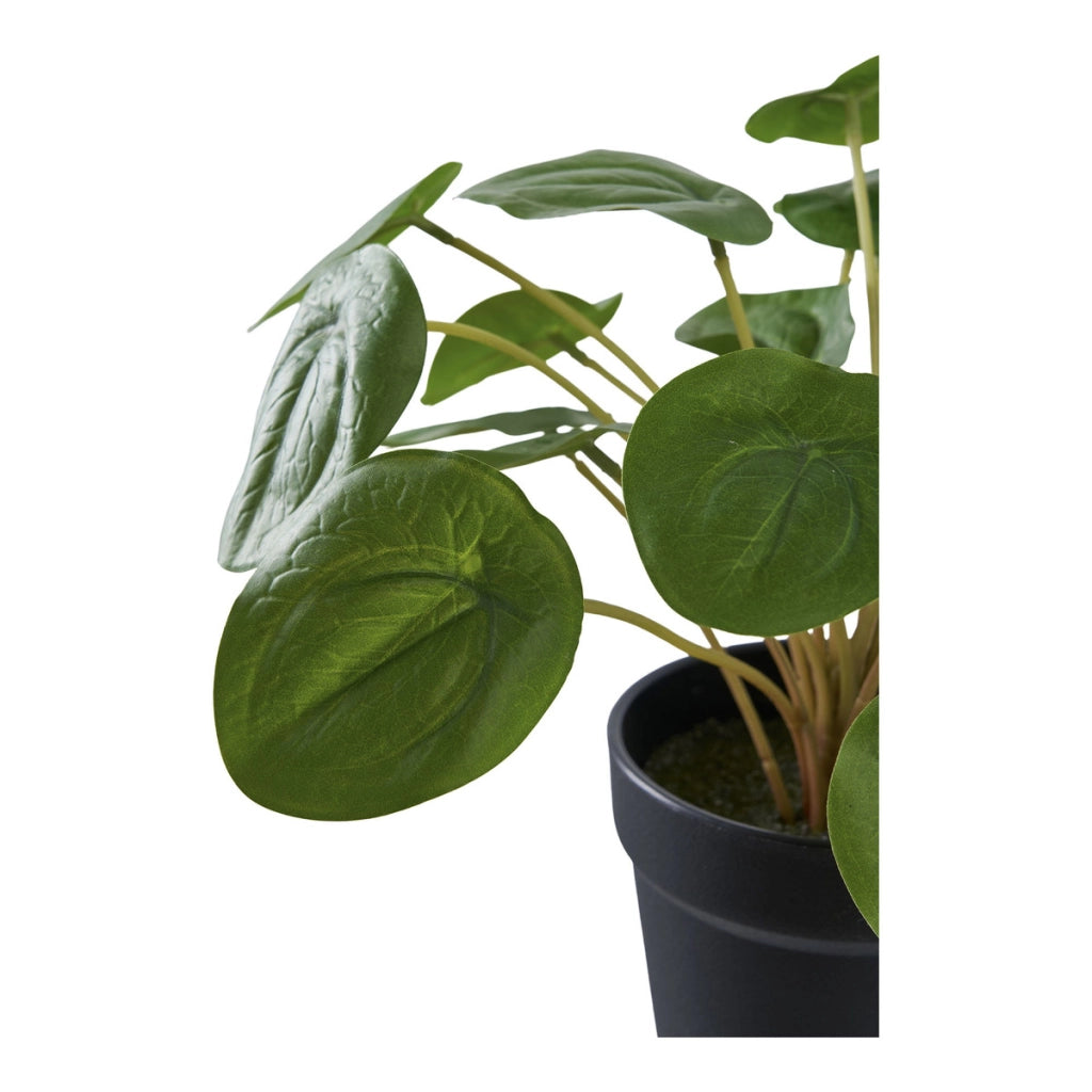 Pianta Artificiale Pilea, Verde, Plastica PE, 28x28x14 cm