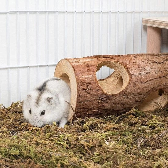 Casa di Gioco in Legno Naturale con Tunnello e Progetto di Albero per Hamster, Topi e Chinchiillle