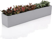 Planter di Succulente in Cemento Grezzo 145 cm per Finestra, Dozzina.