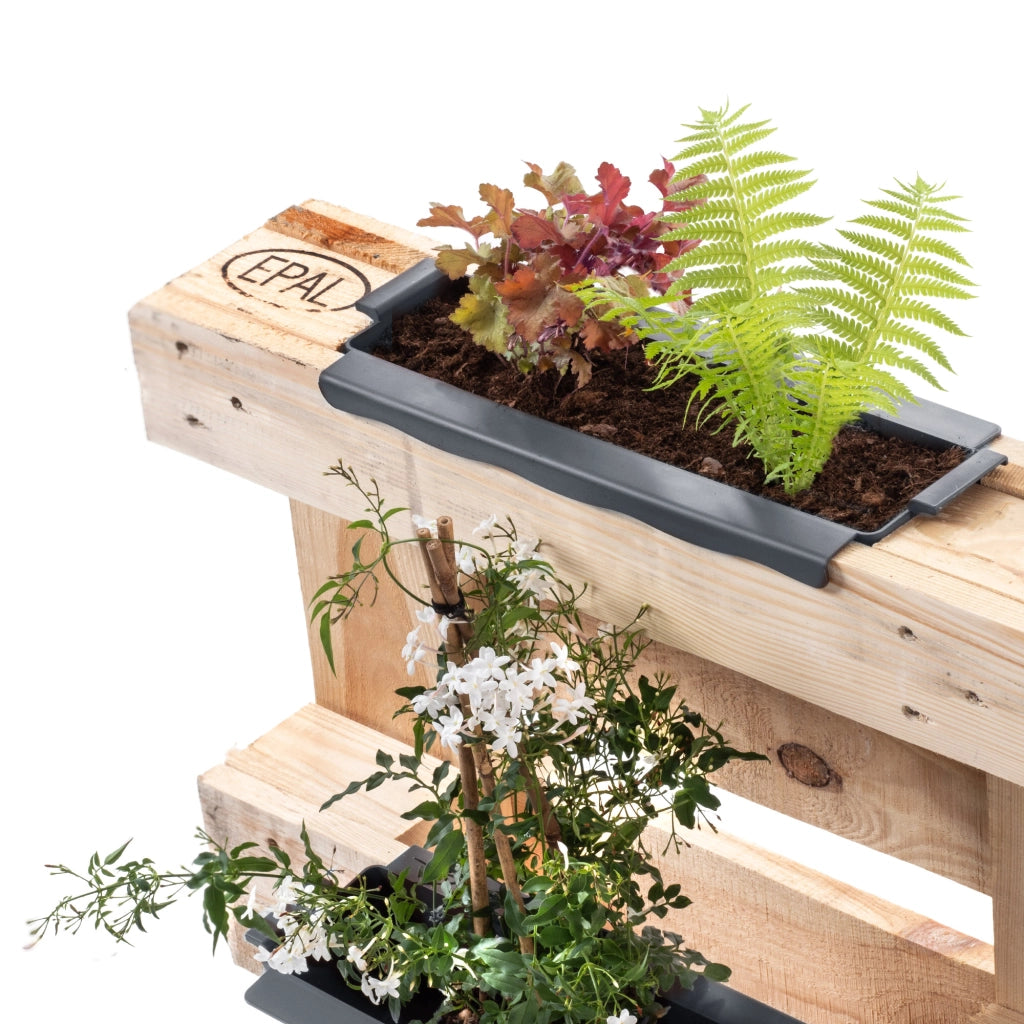 Vaso da fiori KADAX, vasi da fiori per Europallets, scatola da 40 cm, 16 pezzi