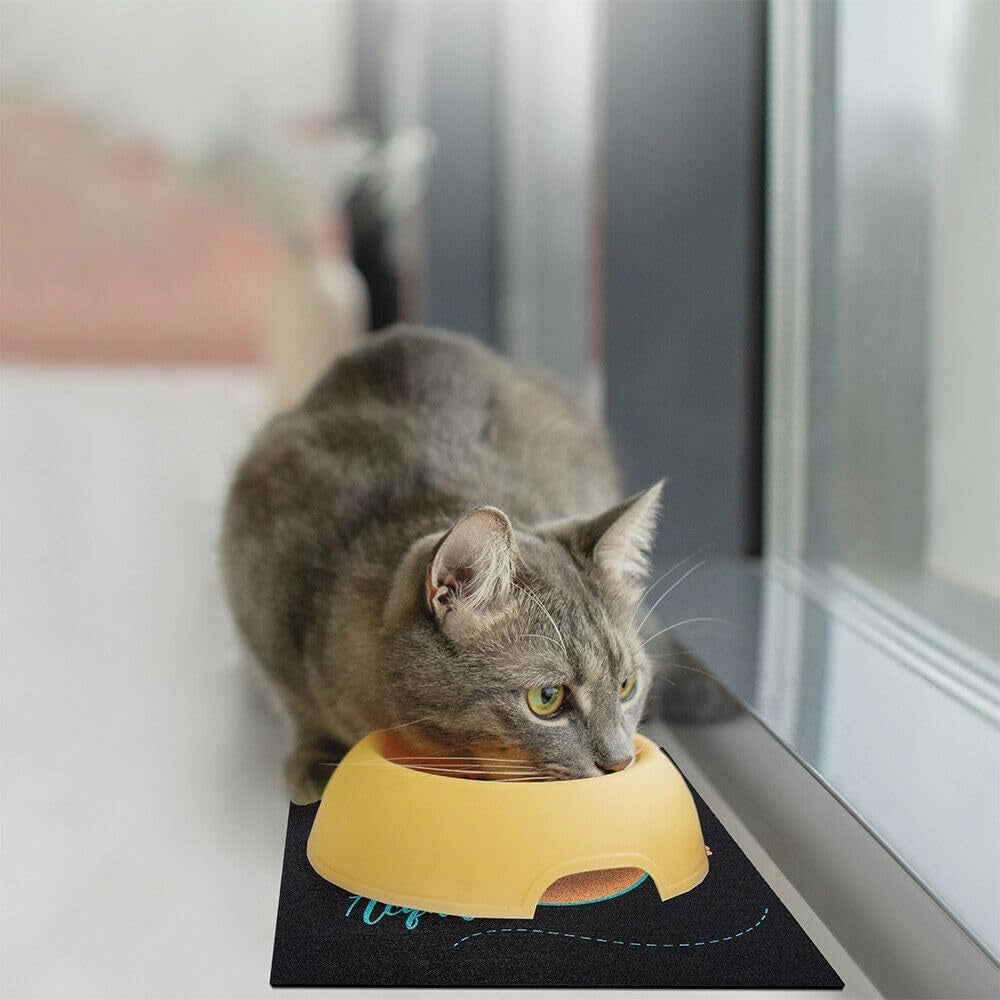 Coppia Tappetini SottoCiotola Gomma Sostenibile Antiscivolo 30x30 cm Cane Gatto Dis.B