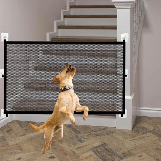 Porta per cani portatile - Barriera di sicurezza per piccoli cani - 1 pezzo - 72 x 110 cm