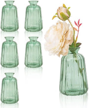 Set di 6 piccole vaschette per decorazione di tavola, mini vasi in vetro per decorazione di tavola, matrimonio (11×6,5 cm, verde chiaro)