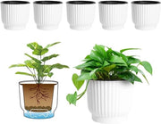 Bacini per piante - Bacino per piante con accumulo a lungo termine dell'acqua - Pannelli decorativi per piante in stile macarone - Decorazione per giardino casa grandi dimensioni - Set da 6 pezzi bianco