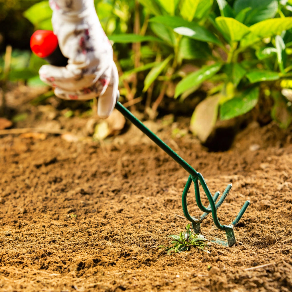 Set di attrezzi da giardino KADAX 4 in 1: pala, taglierino, smuovere il terreno