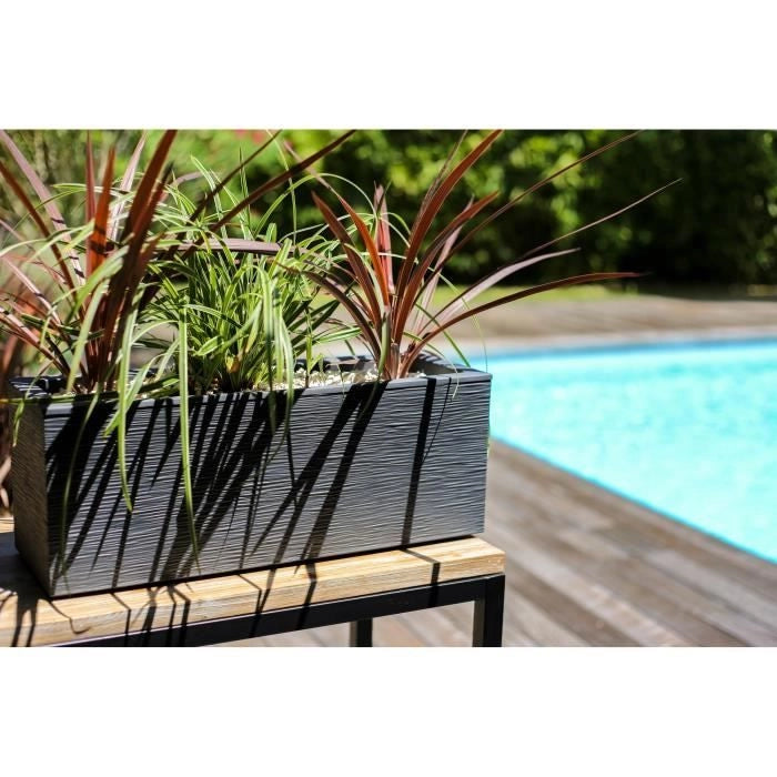 Box Finestra Graphit fino a 25L