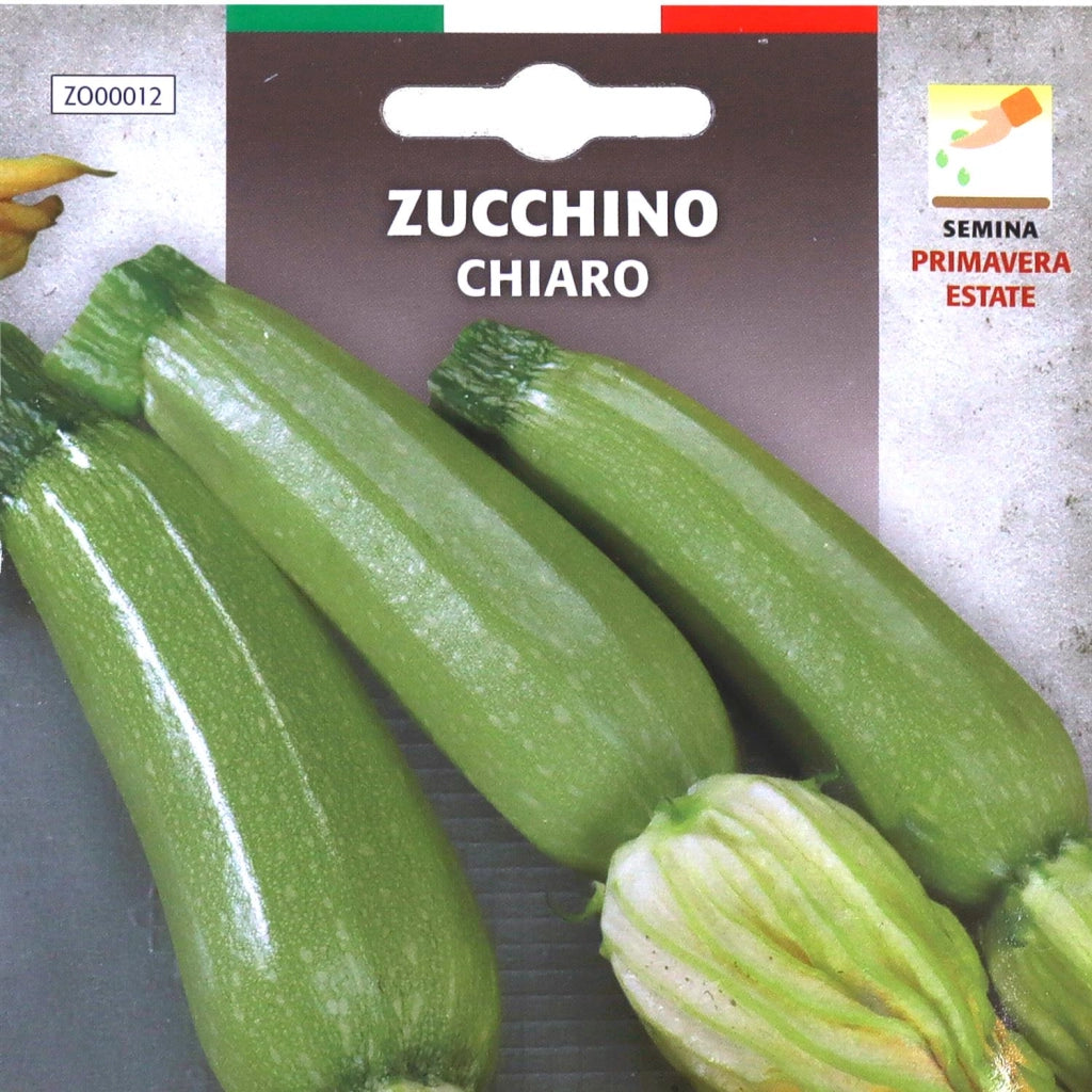 BUSTA SEMENTI ZUCCHINO CHIARO
